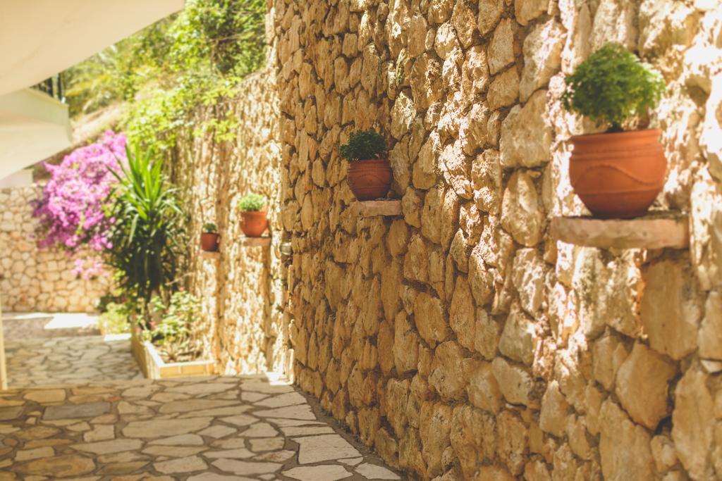 Althea Studios Lefkada Áyios Nikítas 객실 사진