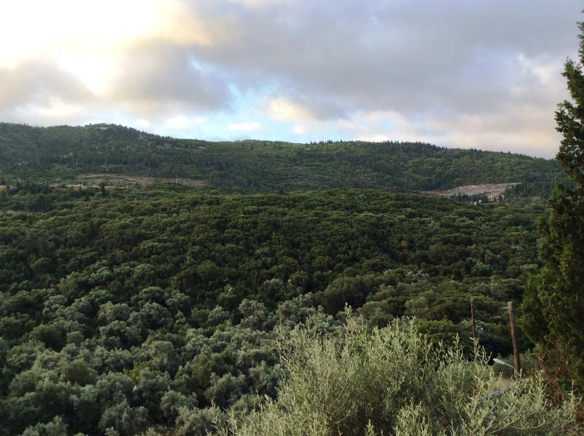 Althea Studios Lefkada Áyios Nikítas 외부 사진