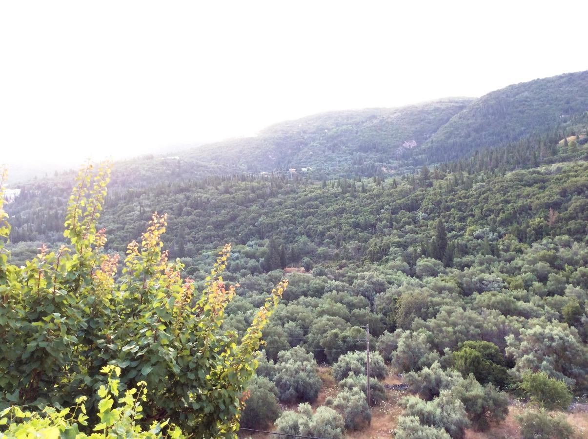 Althea Studios Lefkada Áyios Nikítas 외부 사진